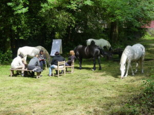 cheval_dans_un_lieu_de_vie_pour_adolescents