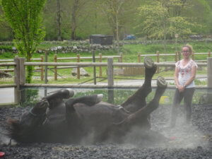 Julie_cheval_coaching_groupe_ecrindescimes
